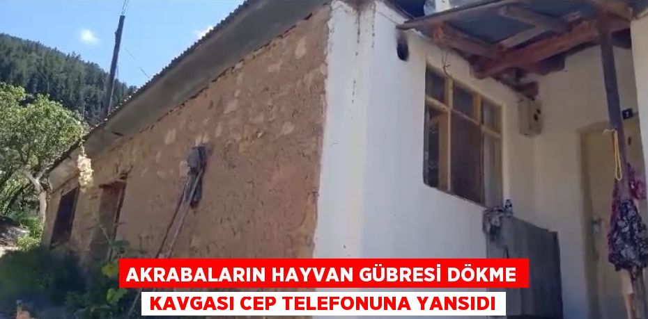 AKRABALARIN HAYVAN GÜBRESİ DÖKME KAVGASI CEP TELEFONUNA YANSIDI