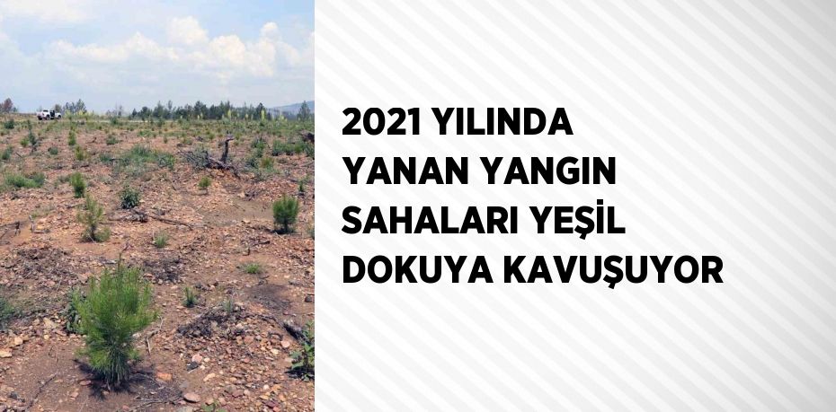 2021 YILINDA YANAN YANGIN SAHALARI YEŞİL DOKUYA KAVUŞUYOR