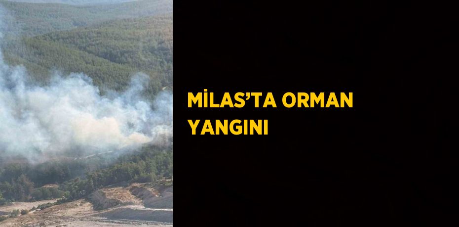 MİLAS’TA ORMAN YANGINI