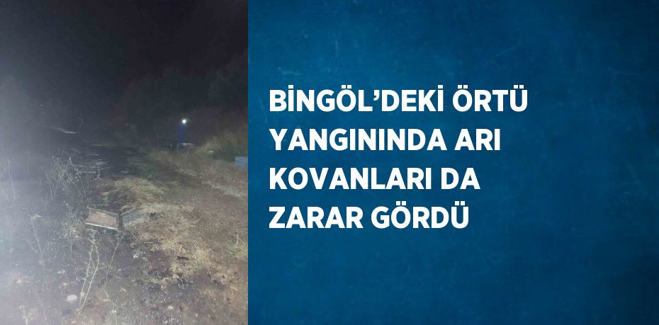 BİNGÖL’DEKİ ÖRTÜ YANGININDA ARI KOVANLARI DA ZARAR GÖRDÜ