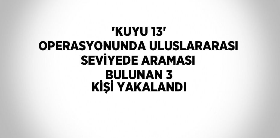 'KUYU 13' OPERASYONUNDA ULUSLARARASI SEVİYEDE ARAMASI BULUNAN 3 KİŞİ YAKALANDI