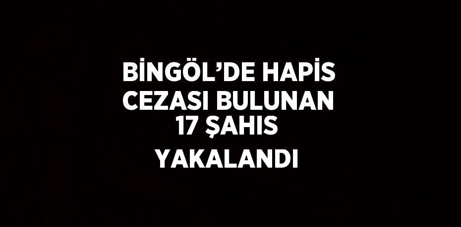 BİNGÖL’DE HAPİS CEZASI BULUNAN 17 ŞAHIS YAKALANDI