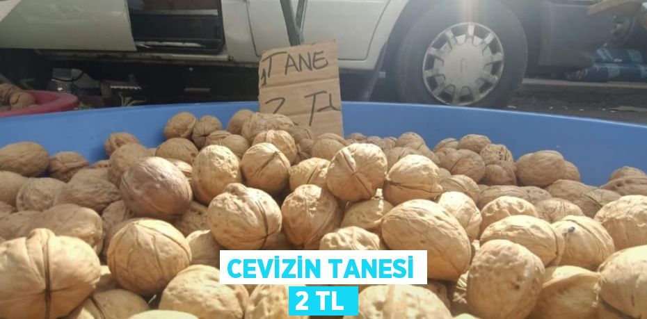 CEVİZİN TANESİ 2 TL