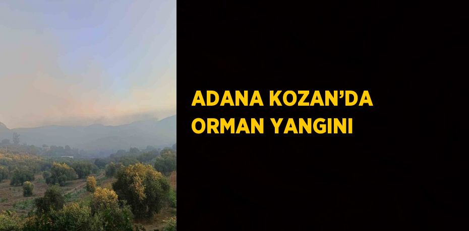 ADANA KOZAN’DA ORMAN YANGINI