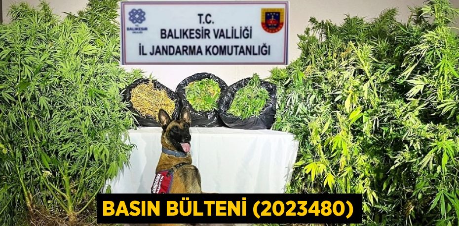 Basın Bülteni (2023480)