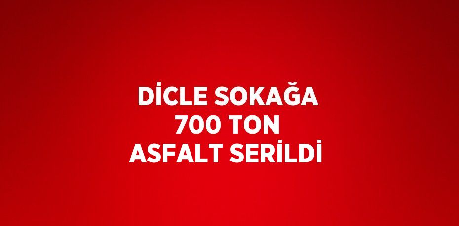 DİCLE SOKAĞA 700 TON ASFALT SERİLDİ