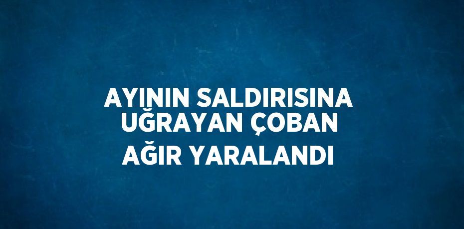 AYININ SALDIRISINA UĞRAYAN ÇOBAN AĞIR YARALANDI