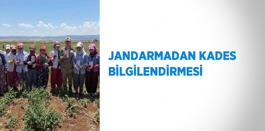 JANDARMADAN KADES BİLGİLENDİRMESİ