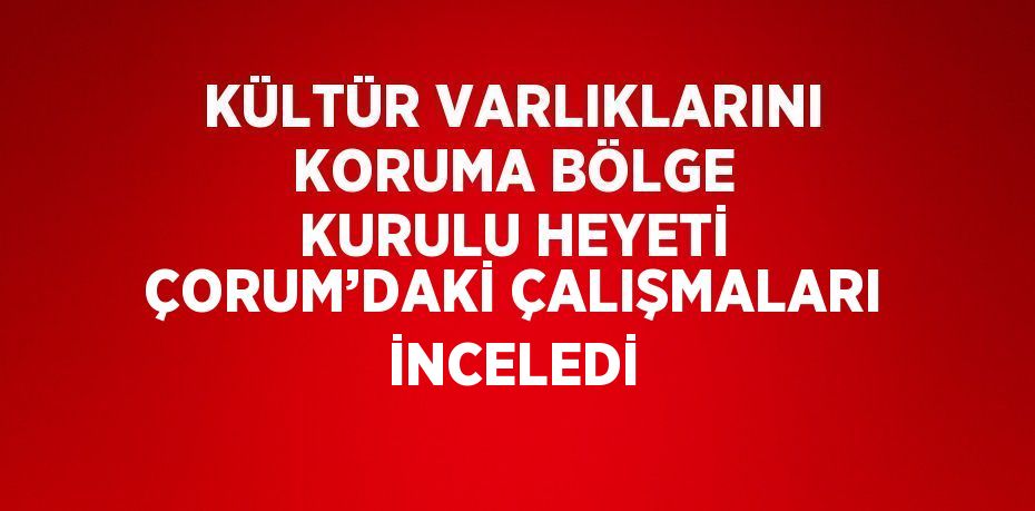 KÜLTÜR VARLIKLARINI KORUMA BÖLGE KURULU HEYETİ ÇORUM’DAKİ ÇALIŞMALARI İNCELEDİ