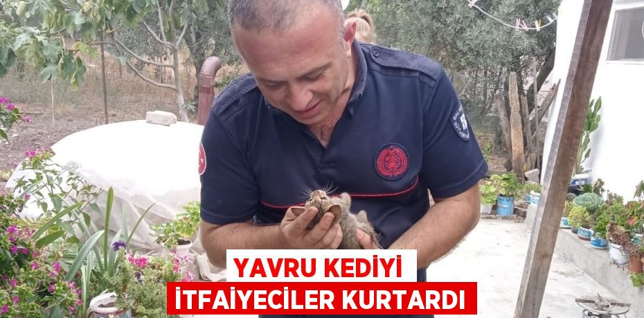 Yavru kediyi itfaiyeciler kurtardı