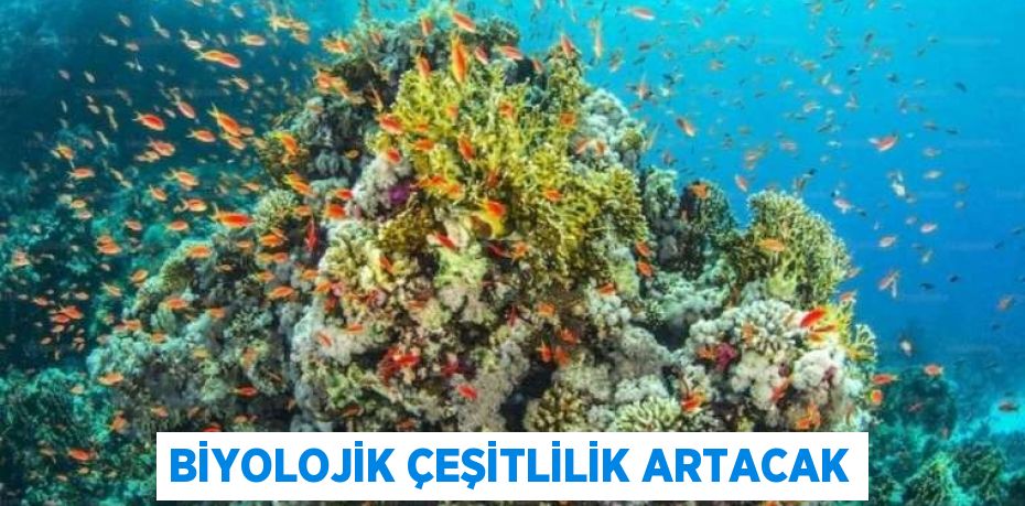 Biyolojik çeşitlilik artacak