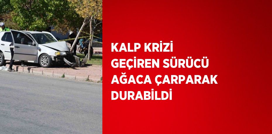 KALP KRİZİ GEÇİREN SÜRÜCÜ AĞACA ÇARPARAK DURABİLDİ