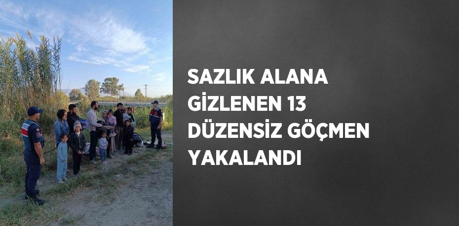 SAZLIK ALANA GİZLENEN 13 DÜZENSİZ GÖÇMEN YAKALANDI