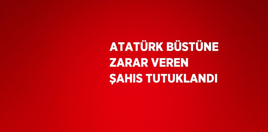 ATATÜRK BÜSTÜNE ZARAR VEREN ŞAHIS TUTUKLANDI