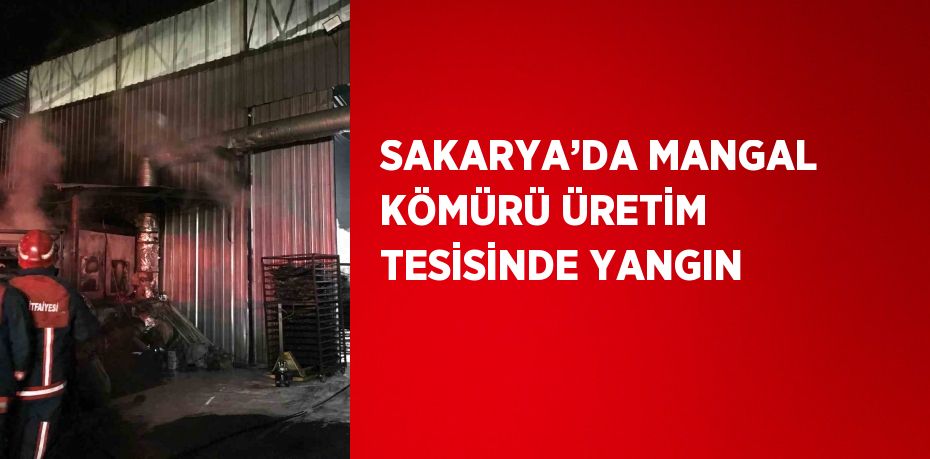 SAKARYA’DA MANGAL KÖMÜRÜ ÜRETİM TESİSİNDE YANGIN