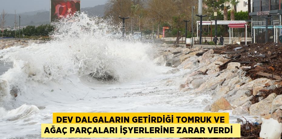 Dev dalgaların getirdiği tomruk ve ağaç parçaları işyerlerine zarar verdi 