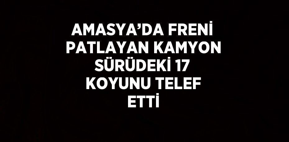 AMASYA’DA FRENİ PATLAYAN KAMYON SÜRÜDEKİ 17 KOYUNU TELEF ETTİ