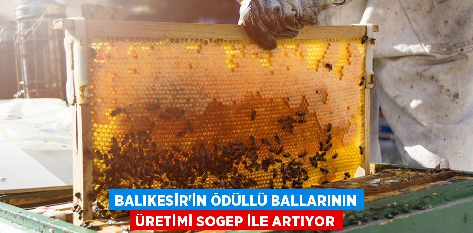 Balıkesir’in Ödüllü Ballarının Üretimi SOGEP İle Artıyor