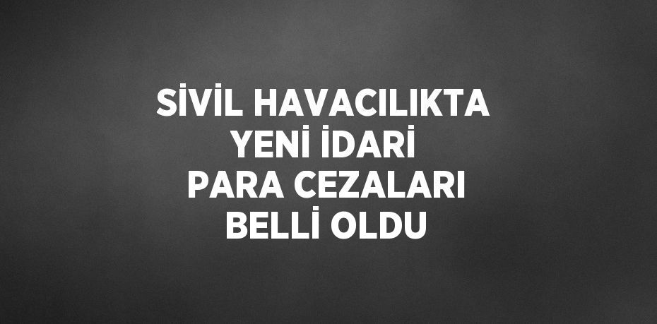 SİVİL HAVACILIKTA YENİ İDARİ PARA CEZALARI BELLİ OLDU