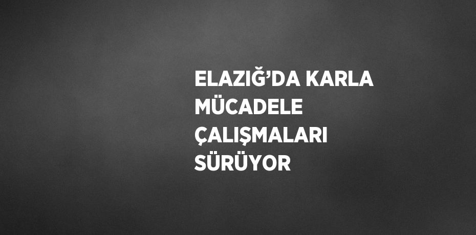 ELAZIĞ’DA KARLA MÜCADELE ÇALIŞMALARI SÜRÜYOR