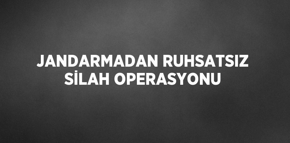 JANDARMADAN RUHSATSIZ SİLAH OPERASYONU