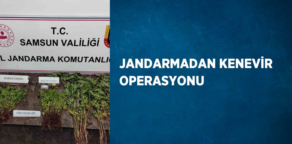 JANDARMADAN KENEVİR OPERASYONU