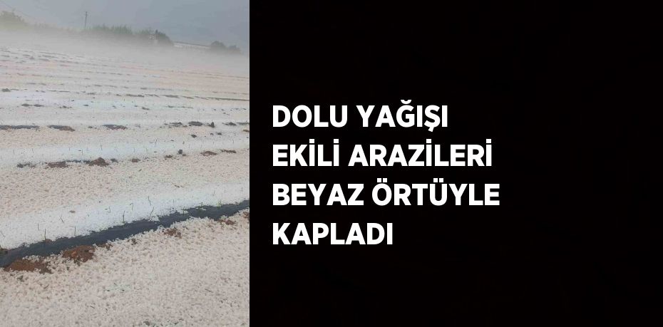 DOLU YAĞIŞI EKİLİ ARAZİLERİ BEYAZ ÖRTÜYLE KAPLADI