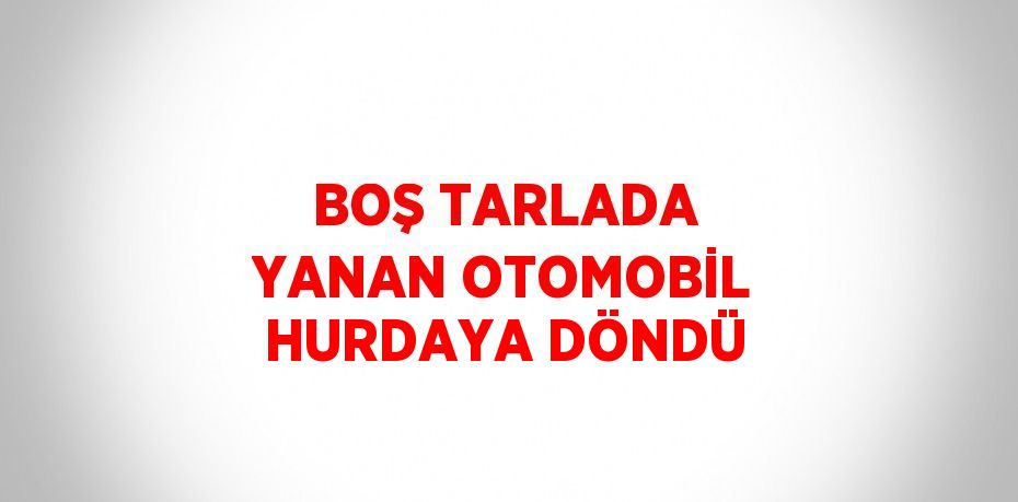 BOŞ TARLADA YANAN OTOMOBİL HURDAYA DÖNDÜ