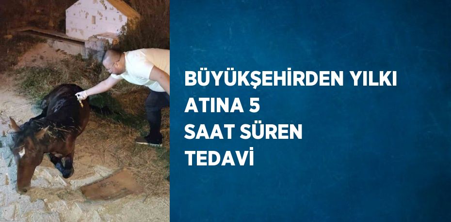 BÜYÜKŞEHİRDEN YILKI ATINA 5 SAAT SÜREN TEDAVİ