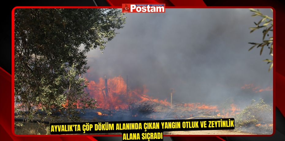 Ayvalık'ta çöp döküm alanında çıkan yangın otluk ve zeytinlik alana sıçradı 