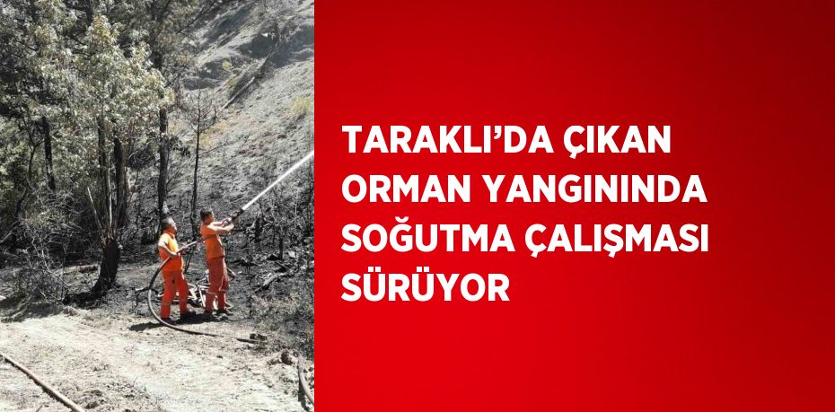 TARAKLI’DA ÇIKAN ORMAN YANGININDA SOĞUTMA ÇALIŞMASI SÜRÜYOR