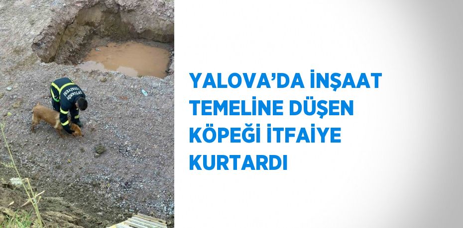 YALOVA’DA İNŞAAT TEMELİNE DÜŞEN KÖPEĞİ İTFAİYE KURTARDI