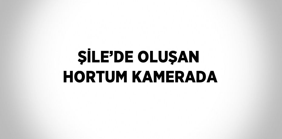 ŞİLE’DE OLUŞAN HORTUM KAMERADA