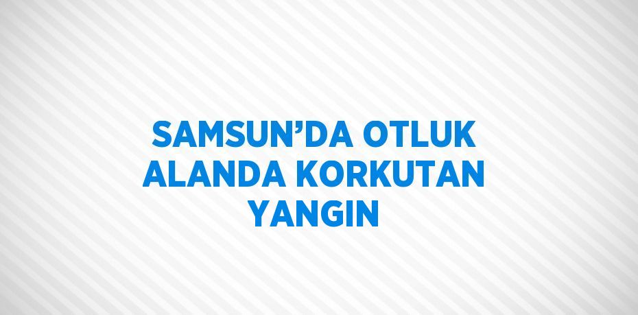 SAMSUN’DA OTLUK ALANDA KORKUTAN YANGIN