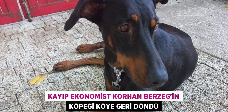 Kayıp ekonomist Korhan Berzeg'in köpeği köye geri döndü