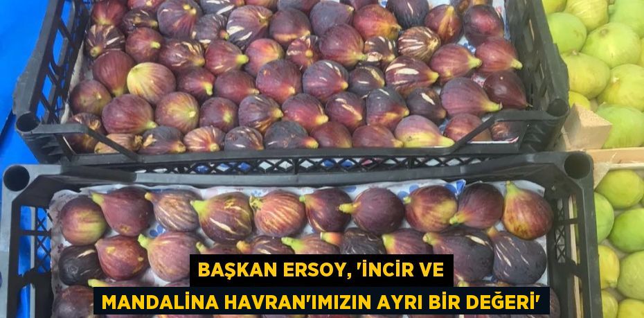 Başkan Ersoy, 'İncir ve mandalina Havran'ımızın ayrı bir değeri'