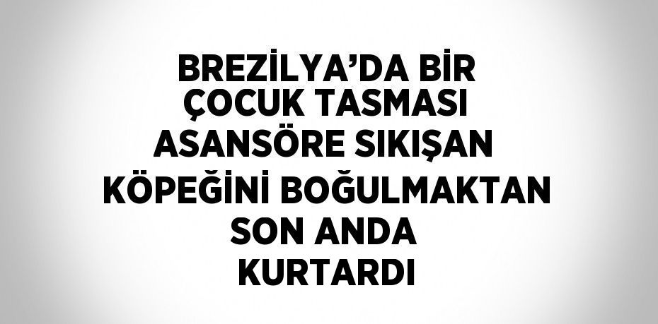 BREZİLYA’DA BİR ÇOCUK TASMASI ASANSÖRE SIKIŞAN KÖPEĞİNİ BOĞULMAKTAN SON ANDA KURTARDI