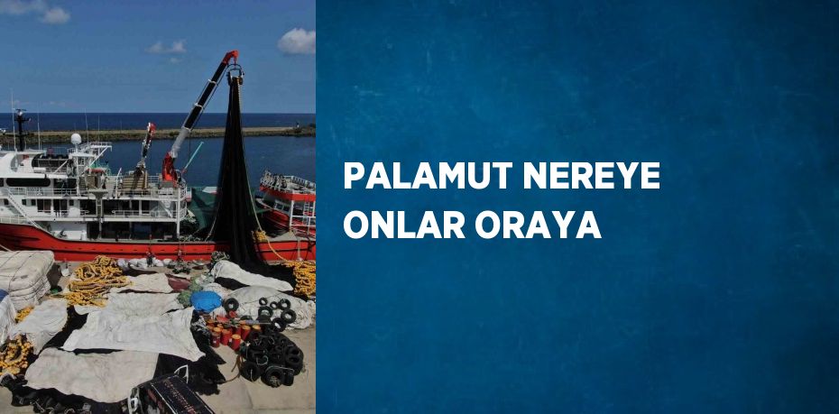 PALAMUT NEREYE ONLAR ORAYA