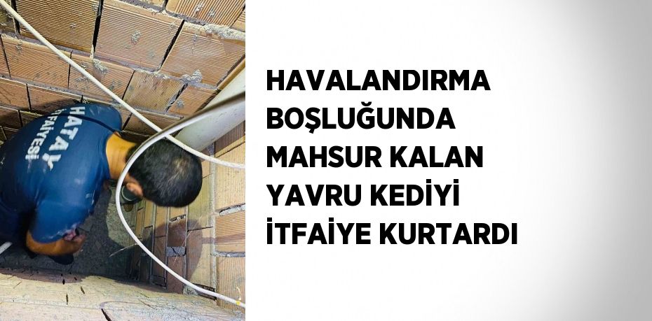 HAVALANDIRMA BOŞLUĞUNDA MAHSUR KALAN YAVRU KEDİYİ İTFAİYE KURTARDI