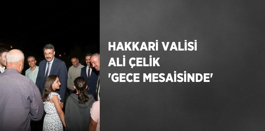 HAKKARİ VALİSİ ALİ ÇELİK 'GECE MESAİSİNDE'