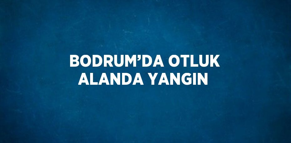 BODRUM’DA OTLUK ALANDA YANGIN