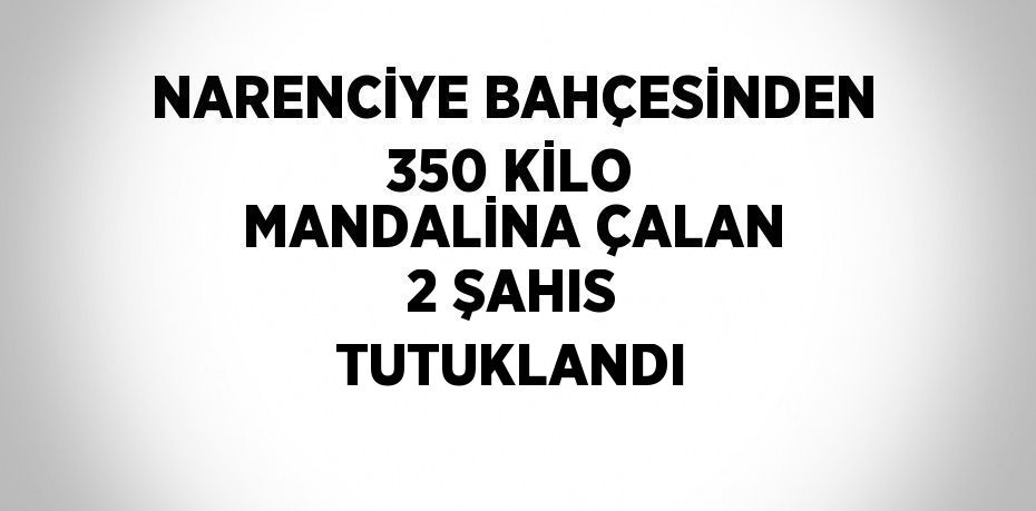 NARENCİYE BAHÇESİNDEN 350 KİLO MANDALİNA ÇALAN 2 ŞAHIS TUTUKLANDI