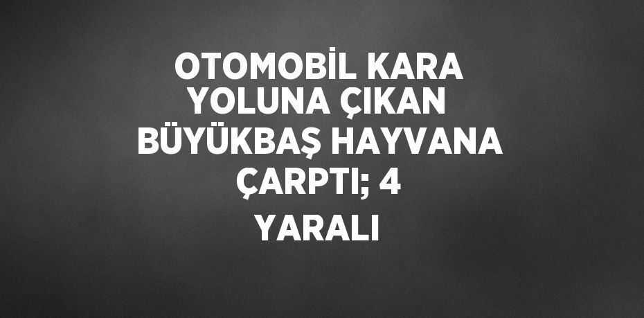 OTOMOBİL KARA YOLUNA ÇIKAN BÜYÜKBAŞ HAYVANA ÇARPTI; 4 YARALI