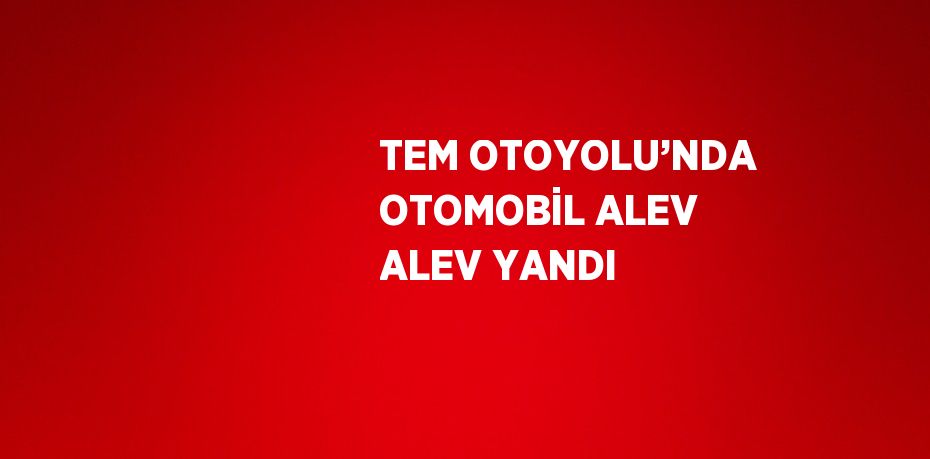 TEM OTOYOLU’NDA OTOMOBİL ALEV ALEV YANDI