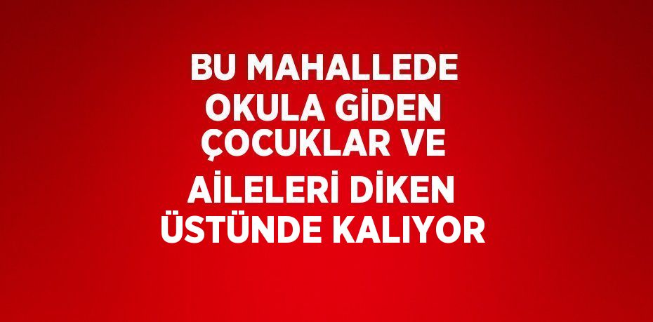 BU MAHALLEDE OKULA GİDEN ÇOCUKLAR VE AİLELERİ DİKEN ÜSTÜNDE KALIYOR