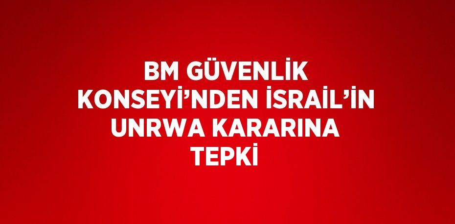 BM GÜVENLİK KONSEYİ’NDEN İSRAİL’İN UNRWA KARARINA TEPKİ