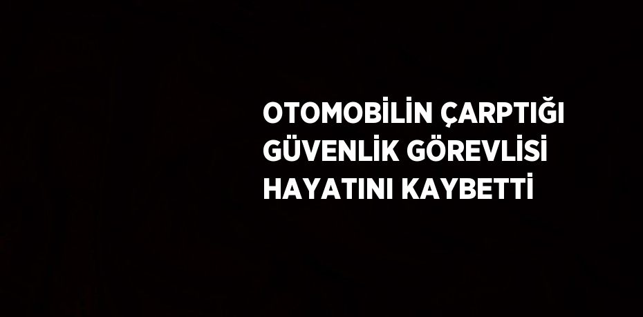 OTOMOBİLİN ÇARPTIĞI GÜVENLİK GÖREVLİSİ HAYATINI KAYBETTİ