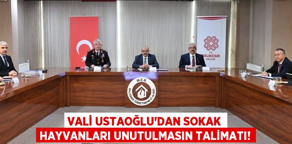 VALİ USTAOĞLU’DAN SOKAK HAYVANLARI UNUTULMASIN TALİMATI!