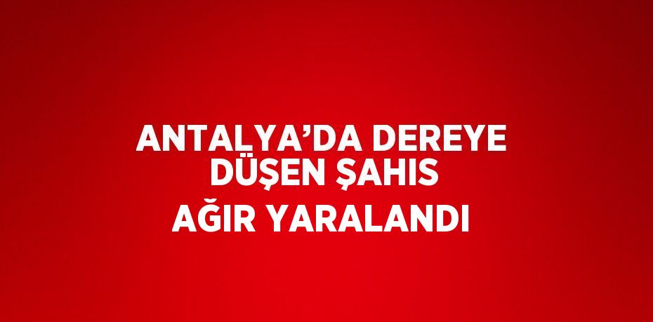 ANTALYA’DA DEREYE DÜŞEN ŞAHIS AĞIR YARALANDI