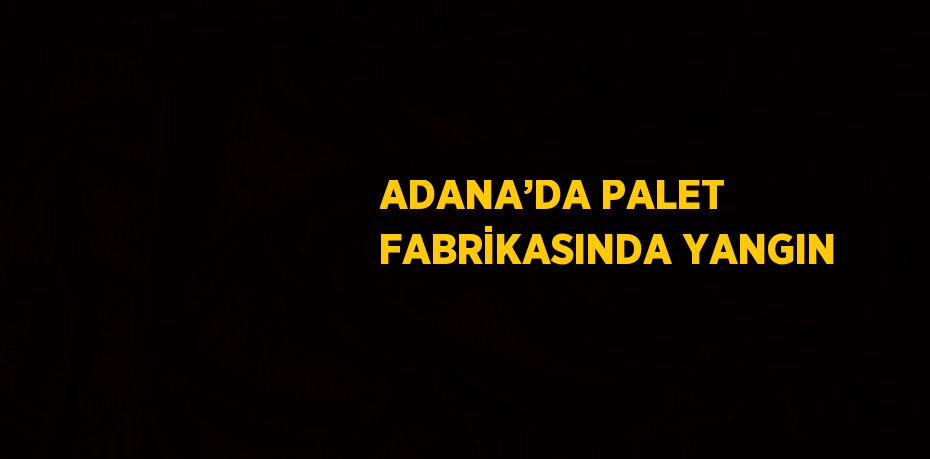 ADANA’DA PALET FABRİKASINDA YANGIN